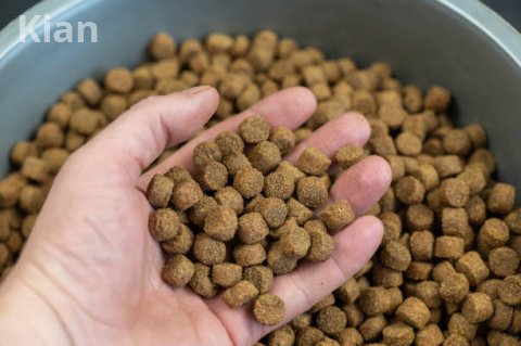 Royal Canin Adult Dog Dry Food 15KG 3