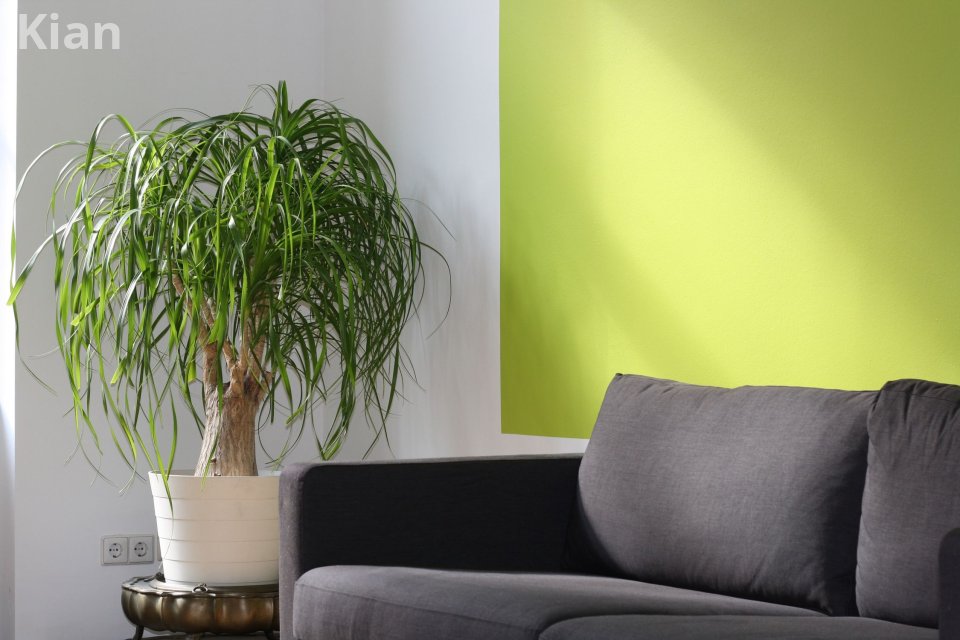 Modern grey couch and pillows