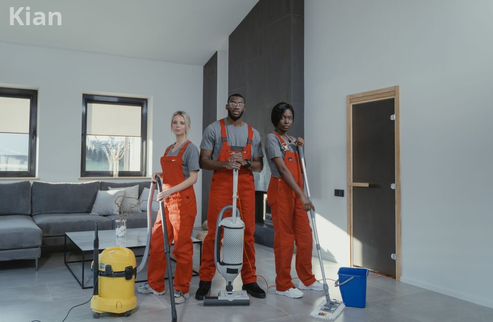 Dyson V15 Detect Cordless Vacuum Cleaner